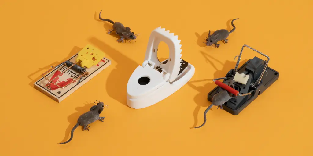 Why choose a tomcat mouse trap?