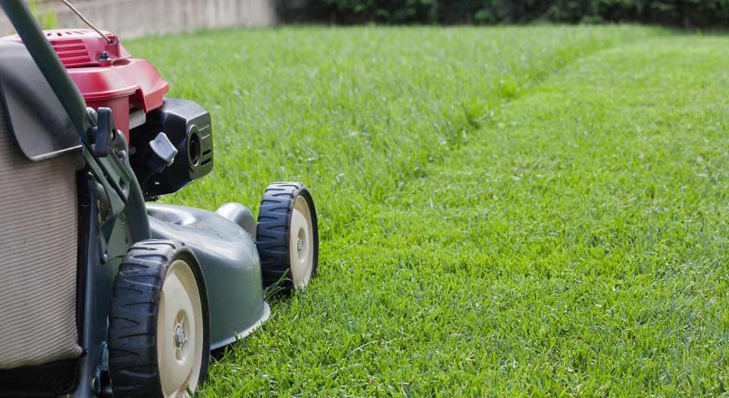 Lawn Care Industry
